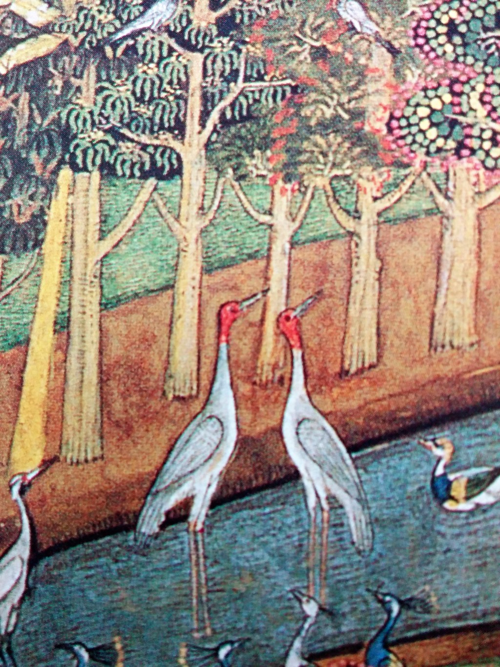 Birds that caught the&nbsp;eye